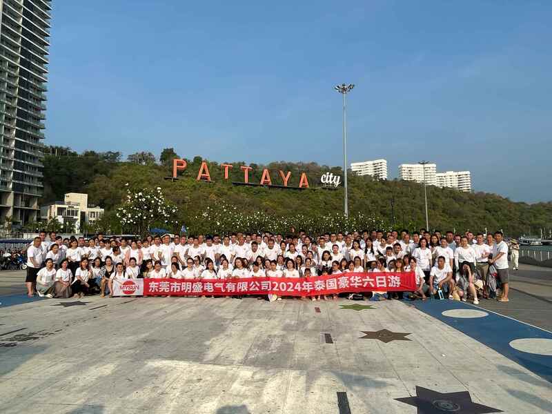 China Shenzhen Mysun Insulation Materials Co., Ltd. Perfil da companhia